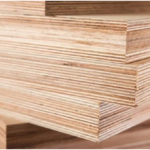 5 Reasons Why You Need Anti-Termite Plywood to Keep Your Home Safe